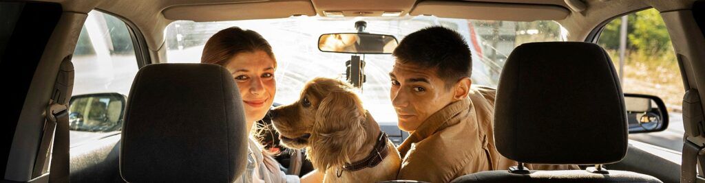 Quitar los pelos de perro en el coche