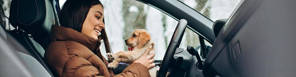 Coches de alquiler que admiten mascotas